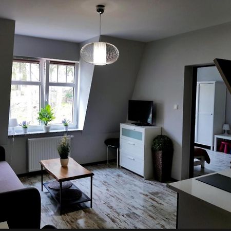 Apartament Evita Karpacz Extérieur photo